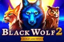 Black Wolf 2